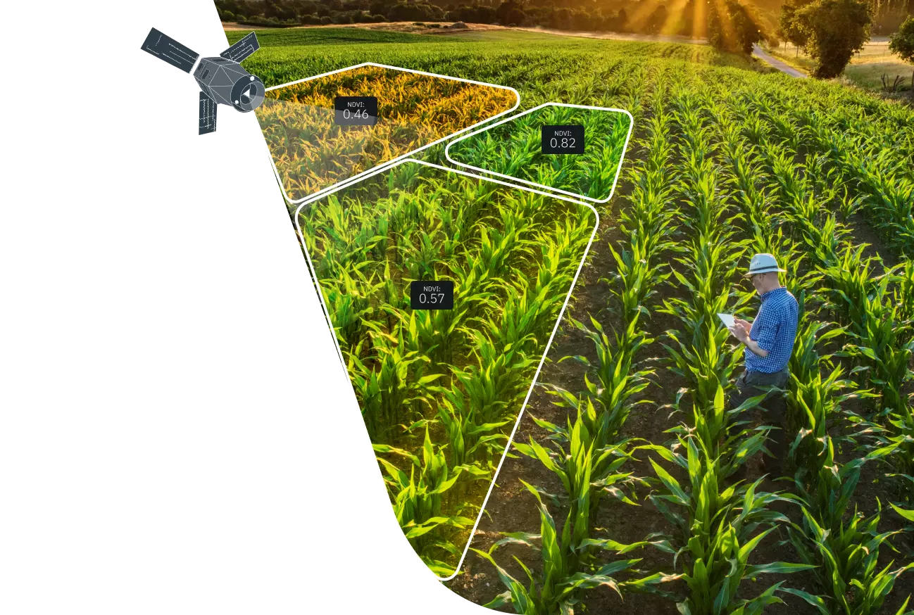 agri business consultant in a field