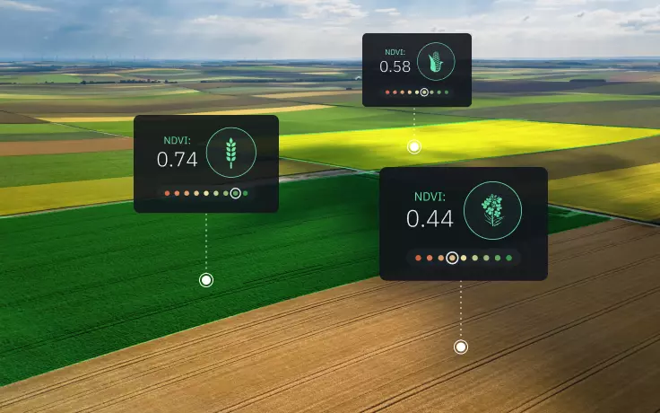 software for vegetation index-based consulting