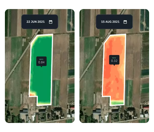 vegetation indices comparison